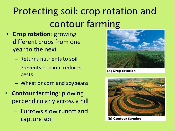 Protecting soil: crop rotation and contour farming • Crop rotation: growing different crops from