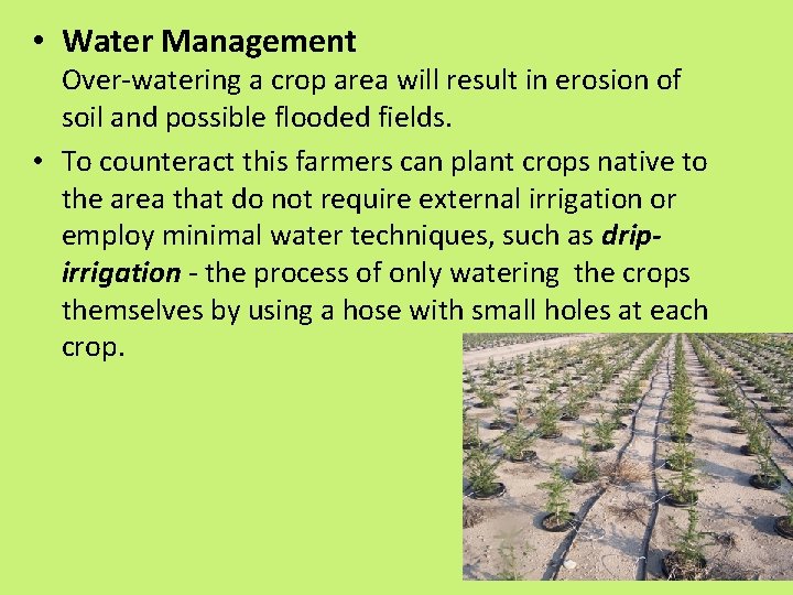  • Water Management Over-watering a crop area will result in erosion of soil