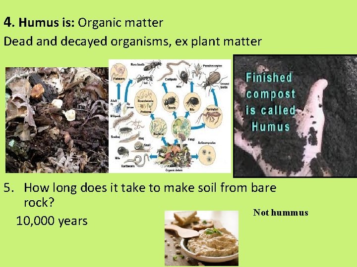 4. Humus is: Organic matter Dead and decayed organisms, ex plant matter 5. How