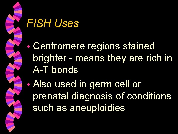 FISH Uses w Centromere regions stained brighter - means they are rich in A-T