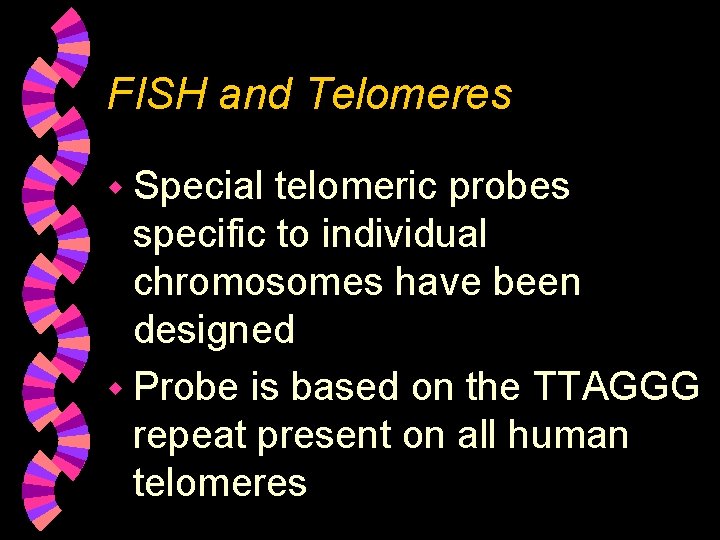 FISH and Telomeres w Special telomeric probes specific to individual chromosomes have been designed