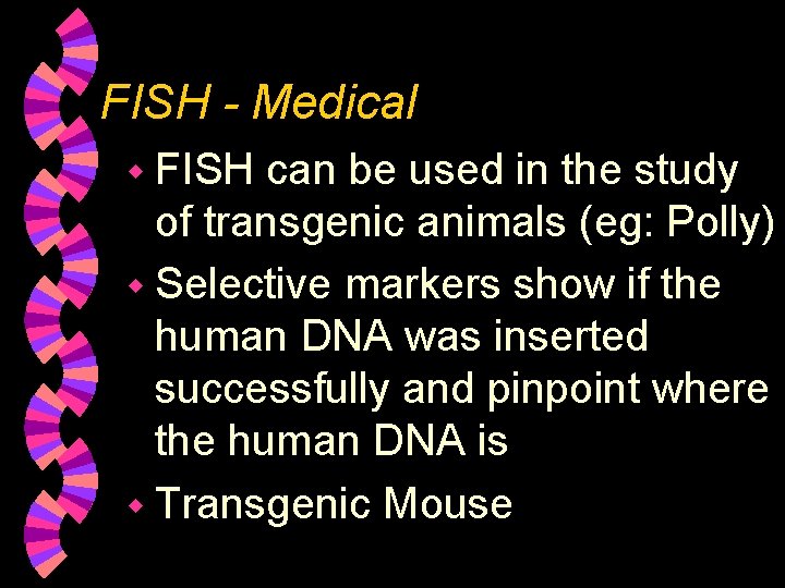 FISH - Medical w FISH can be used in the study of transgenic animals