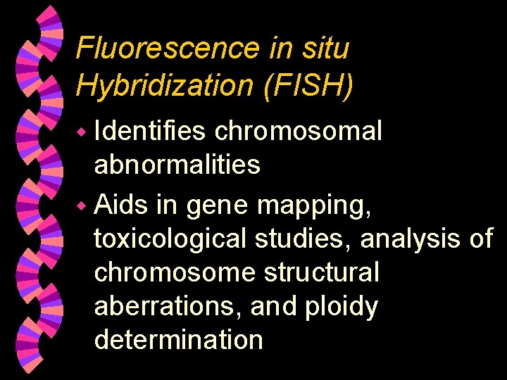 Fluorescence in situ Hybridization (FISH) w Identifies chromosomal abnormalities w Aids in gene mapping,