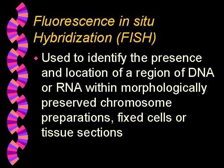 Fluorescence in situ Hybridization (FISH) w Used to identify the presence and location of