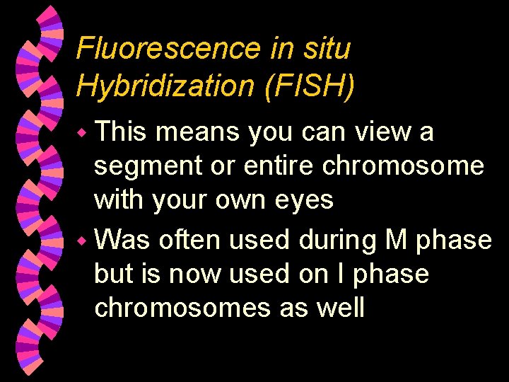 Fluorescence in situ Hybridization (FISH) w This means you can view a segment or