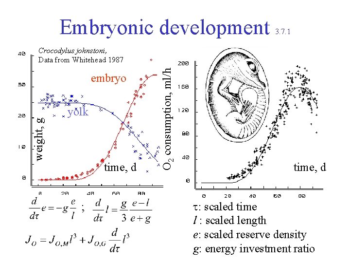 Embryonic development 3. 7. 1 weight, g embryo yolk time, d ; O 2