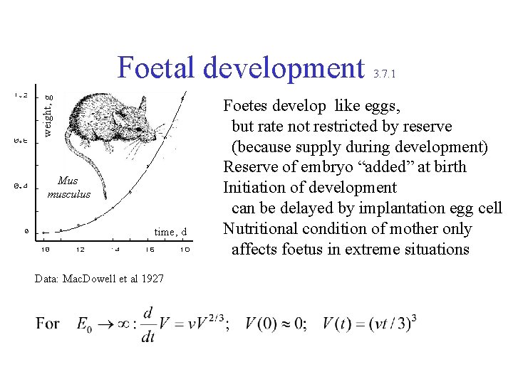 weight, g Foetal development Mus musculus time, d Data: Mac. Dowell et al 1927