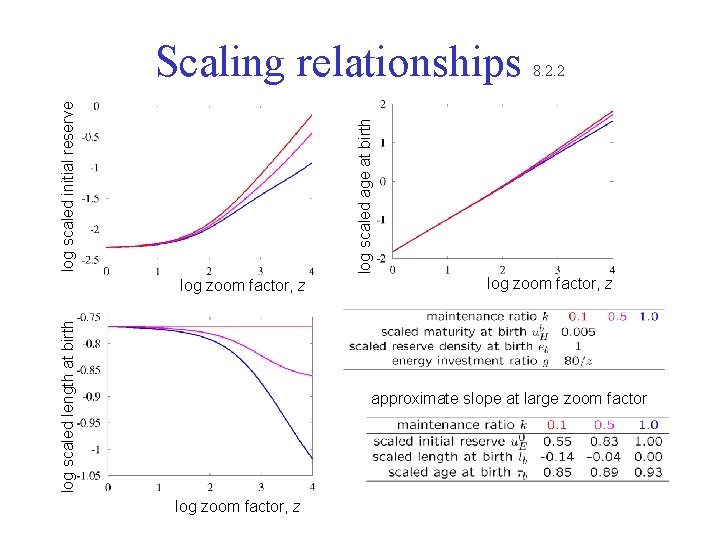 8. 2. 2 log scaled age at birth log scaled initial reserve Scaling relationships