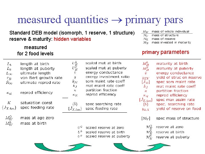 measured quantities primary pars Standard DEB model (isomorph, 1 reserve, 1 structure) reserve &