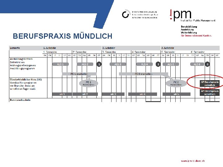 BERUFSPRAXIS MÜNDLICH 