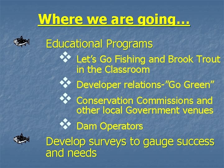 Where we are going… Educational Programs v Let’s Go Fishing and Brook Trout in