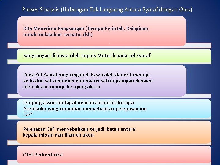 Proses Sinapsis (Hubungan Tak Langsung Antara Syaraf dengan Otot) Kita Menerima Rangsangan (Berupa Perintah,