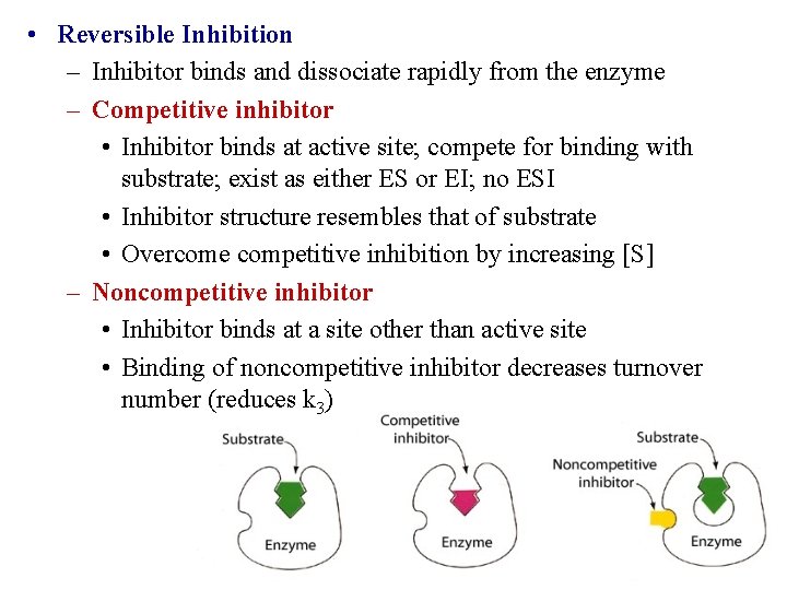  • Reversible Inhibition – Inhibitor binds and dissociate rapidly from the enzyme –