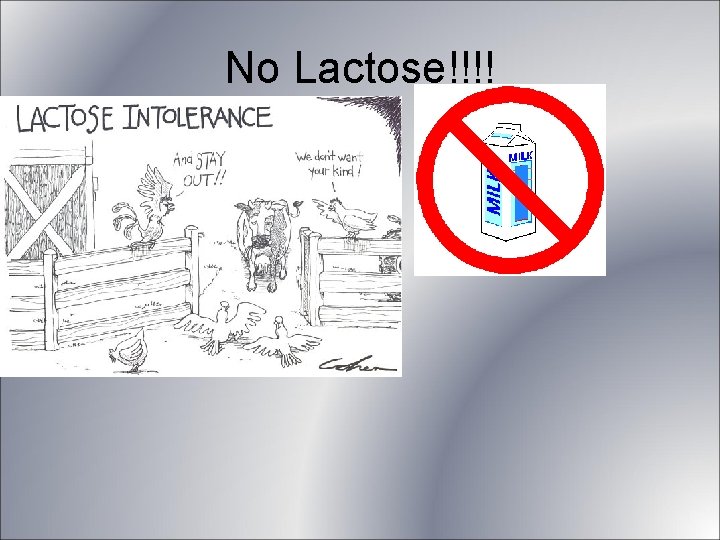 No Lactose!!!! No Lactose!!!!
