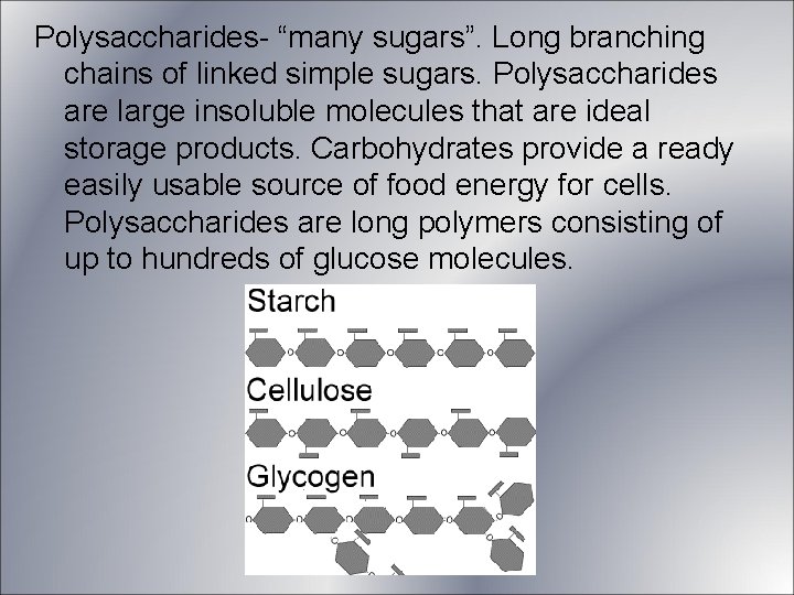 Polysaccharides- “many sugars”. Long branching chains of linked simple sugars. Polysaccharides are large insoluble Polysaccharides- “many sugars”. Long branching chains of linked simple sugars. Polysaccharides are large insoluble