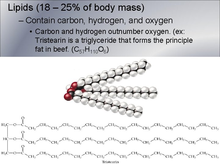 Lipids (18 – 25% of body mass) – Contain carbon, hydrogen, and oxygen • Lipids (18 – 25% of body mass) – Contain carbon, hydrogen, and oxygen •