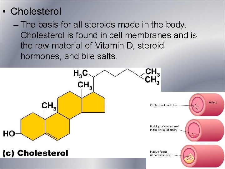 • Cholesterol – The basis for all steroids made in the body. Cholesterol • Cholesterol – The basis for all steroids made in the body. Cholesterol