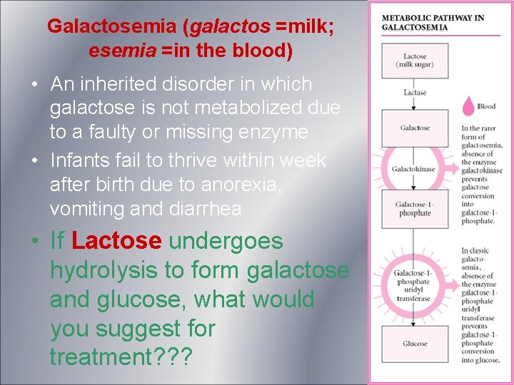 Galactosemia (galactos =milk; esemia =in the blood) • An inherited disorder in which galactose Galactosemia (galactos =milk; esemia =in the blood) • An inherited disorder in which galactose