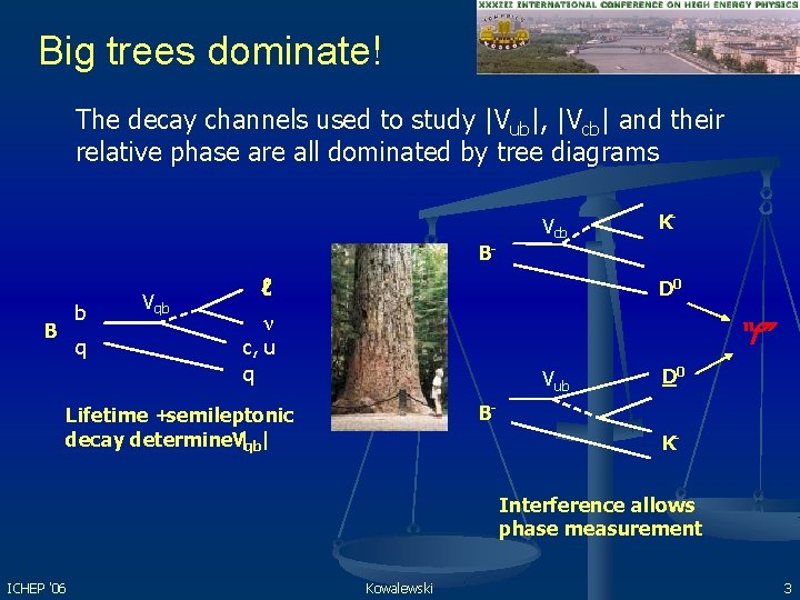 Big trees dominate! The decay channels used to study |Vub|, |Vcb| and their relative