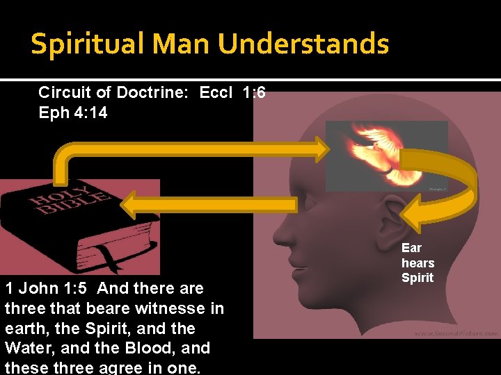 Spiritual Man Understands Circuit of Doctrine: Eccl 1: 6 Eph 4: 14 1 John