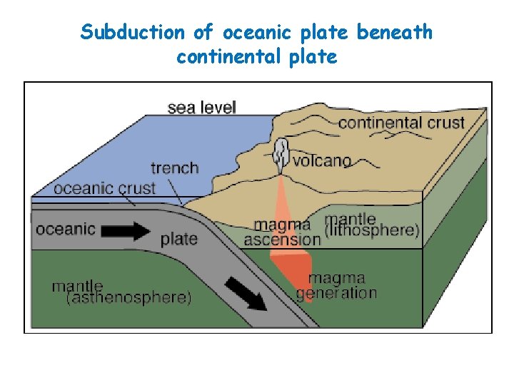 Subduction of oceanic plate beneath continental plate 