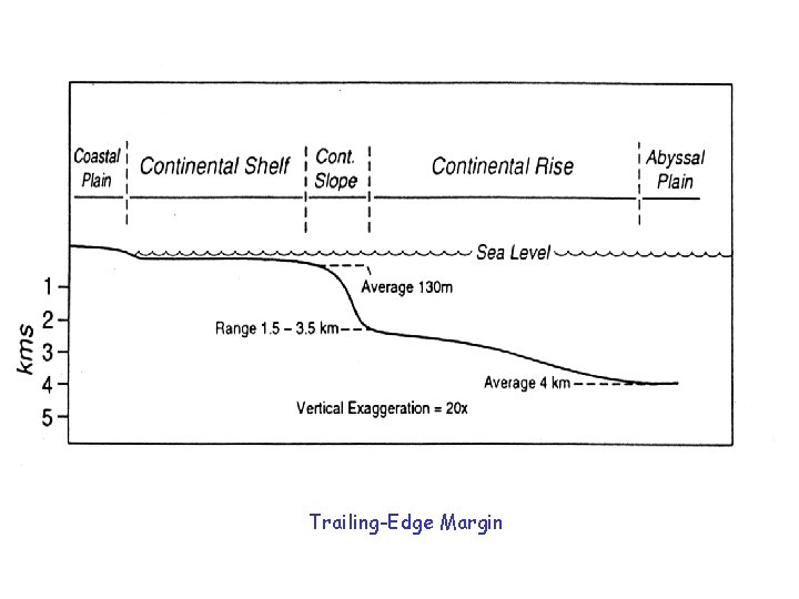 Trailing-Edge Margin 