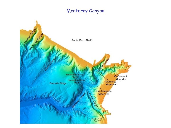 Monterey Canyon 