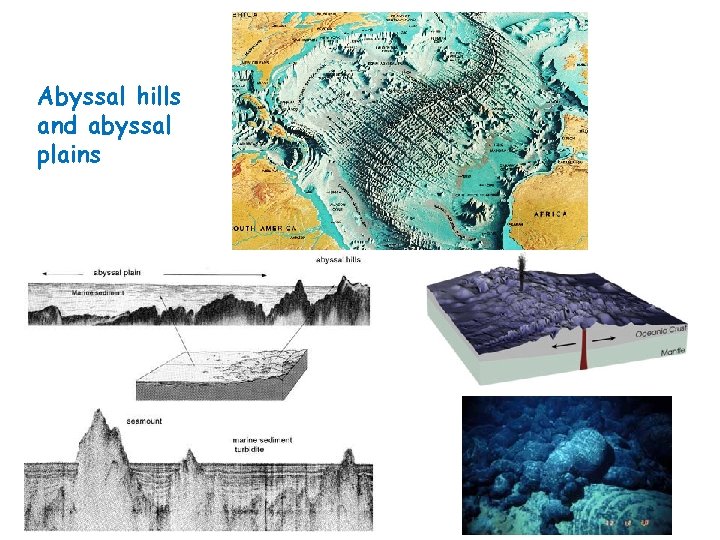 Abyssal hills and abyssal plains 