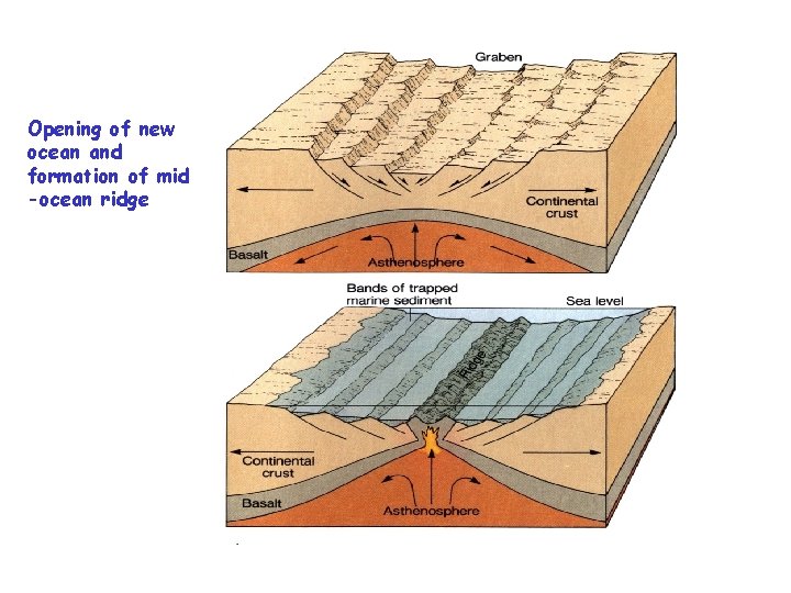 Opening of new ocean and formation of mid -ocean ridge 