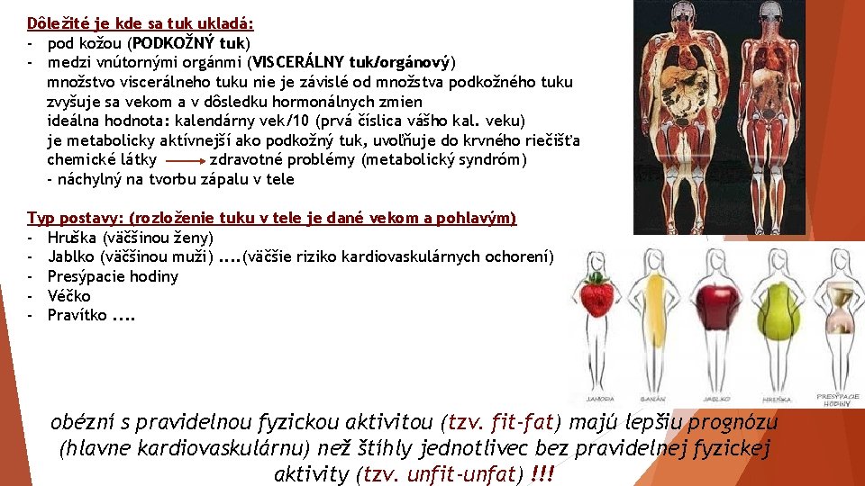 Dôležité je kde sa tuk ukladá: - pod kožou (PODKOŽNÝ tuk) - medzi vnútornými