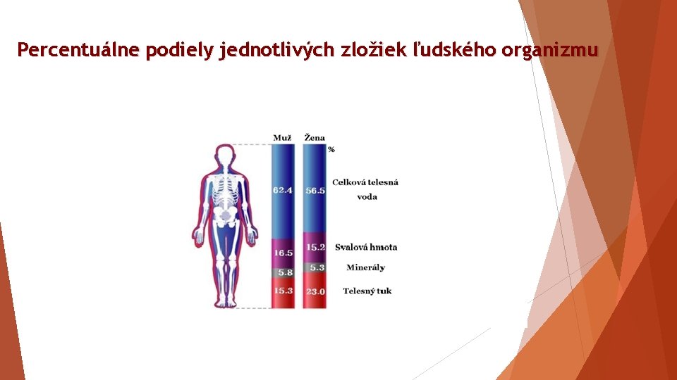 Percentuálne podiely jednotlivých zložiek ľudského organizmu 