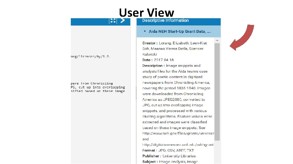 User View 