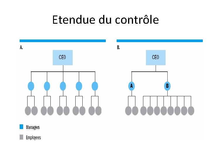 Etendue du contrôle 