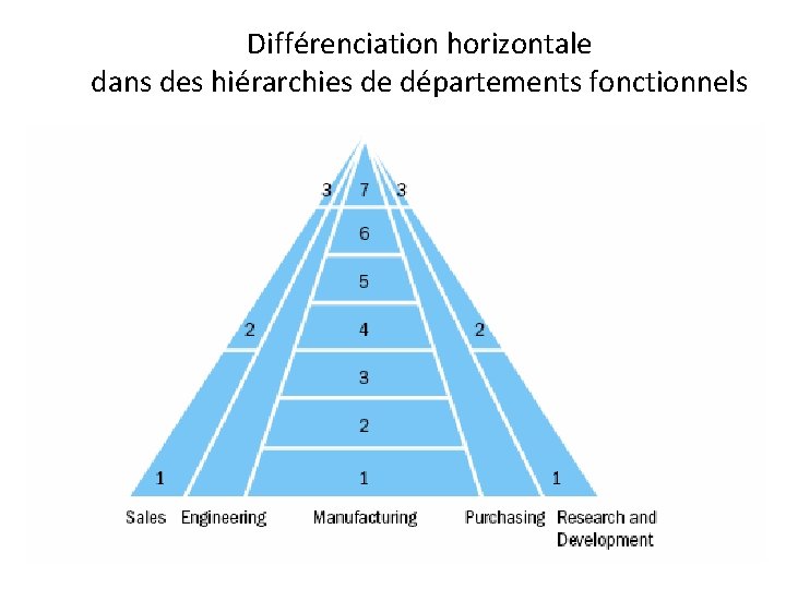 Différenciation horizontale dans des hiérarchies de départements fonctionnels 