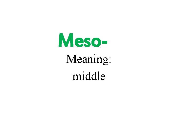 Meso- Meaning: middle 