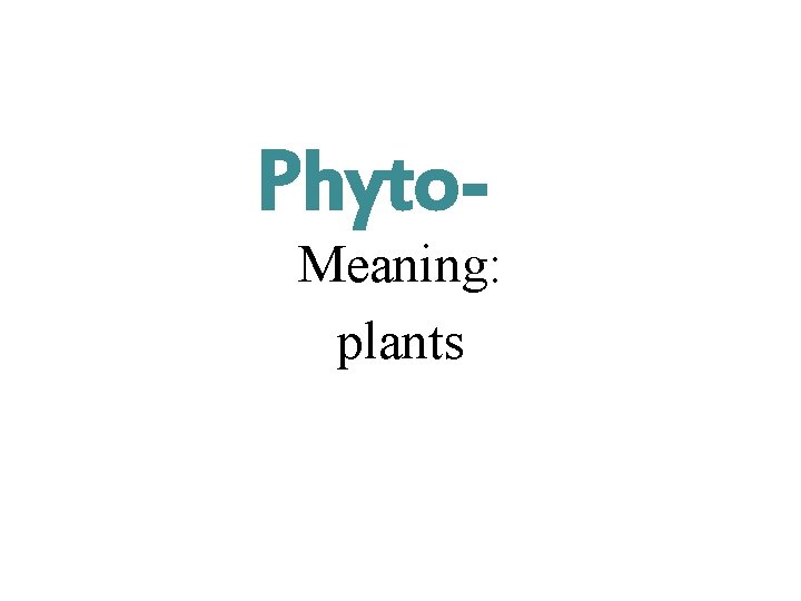 Phyto- Meaning: plants 