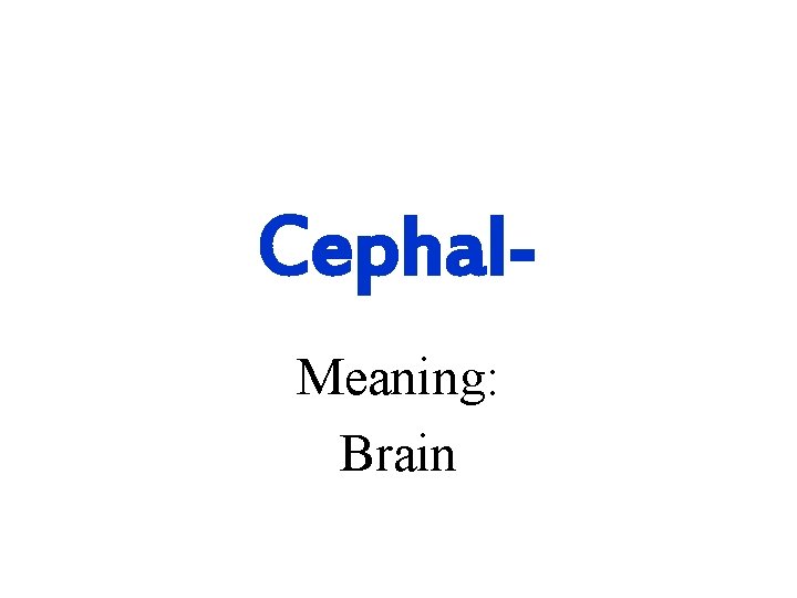 Cephal. Meaning: Brain 