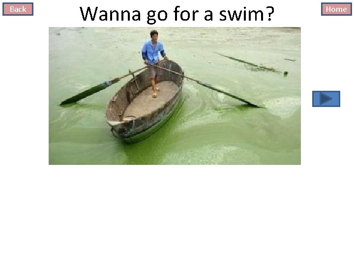 Back Wanna go for a swim? Home 
