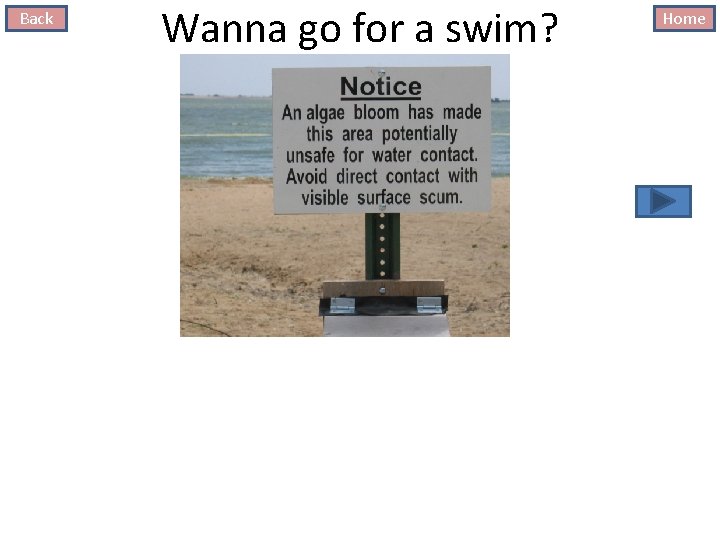 Back Wanna go for a swim? Home 