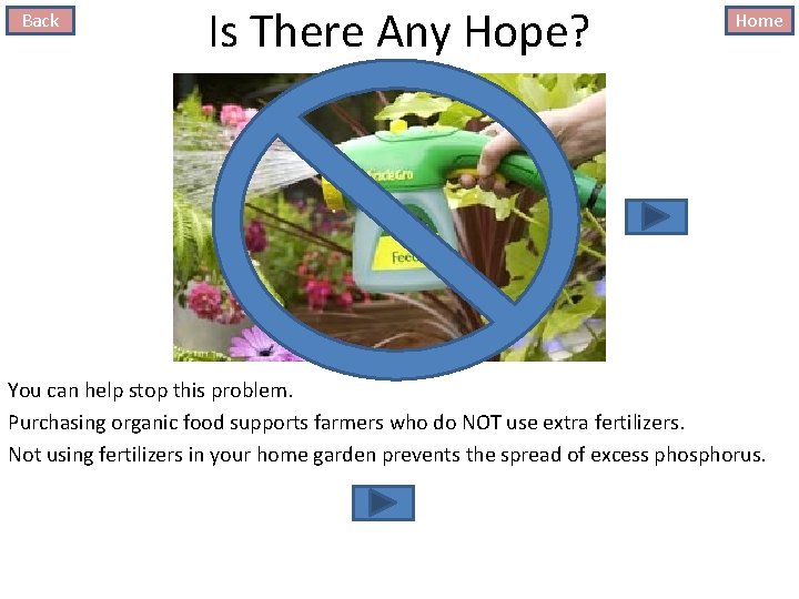 Back Is There Any Hope? Home You can help stop this problem. Purchasing organic