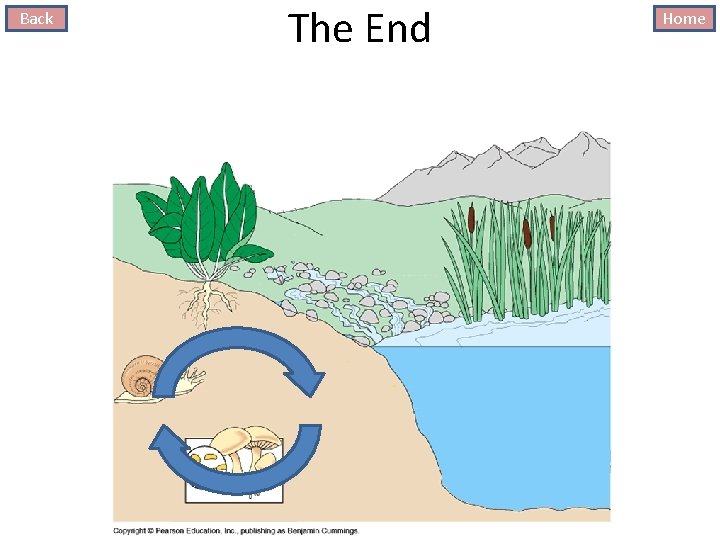 Back The End Home 