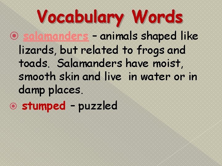 Vocabulary Words salamanders – animals shaped like lizards, but related to frogs and toads.