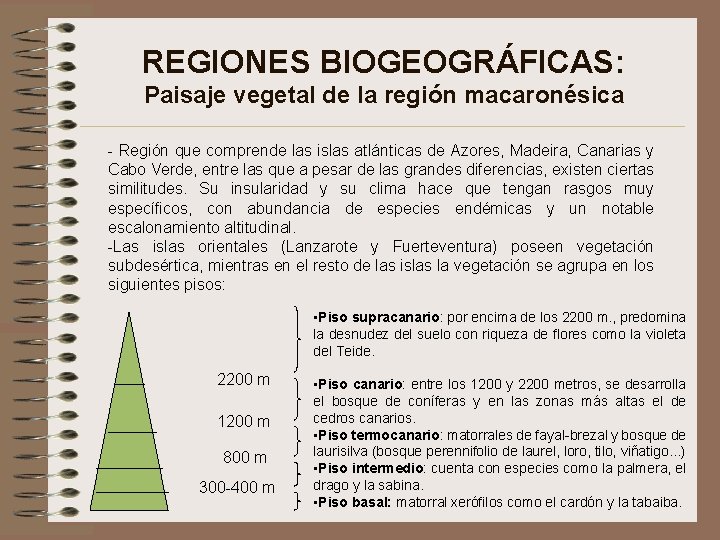 REGIONES BIOGEOGRÁFICAS: Paisaje vegetal de la región macaronésica - Región que comprende las islas