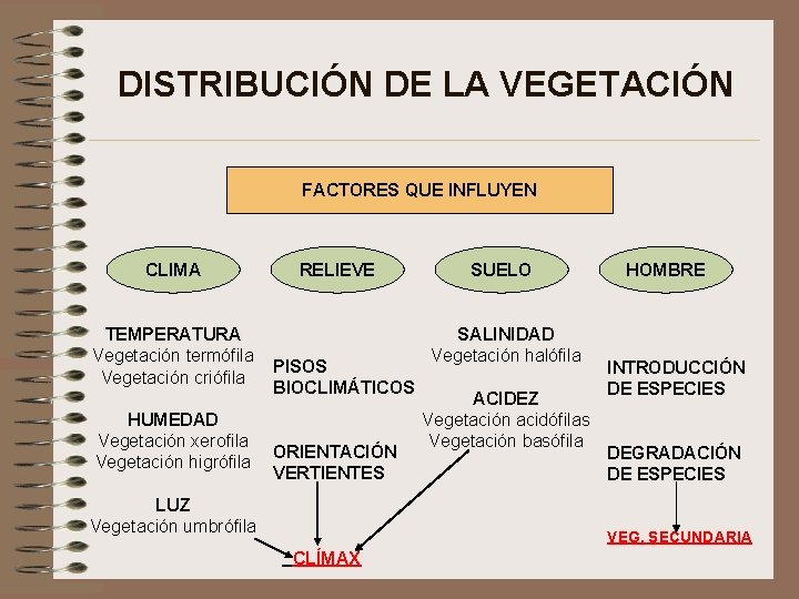 DISTRIBUCIÓN DE LA VEGETACIÓN FACTORES QUE INFLUYEN CLIMA TEMPERATURA Vegetación termófila Vegetación criófila HUMEDAD