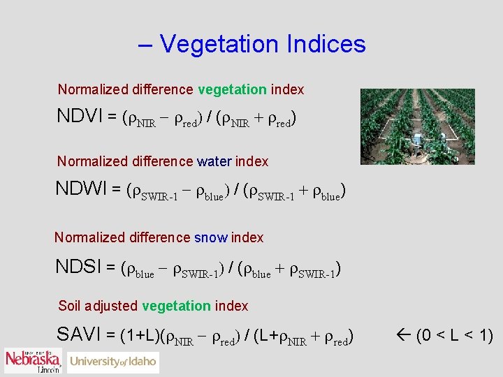 – Vegetation Indices Normalized difference vegetation index NDVI = (r. NIR - rred) /