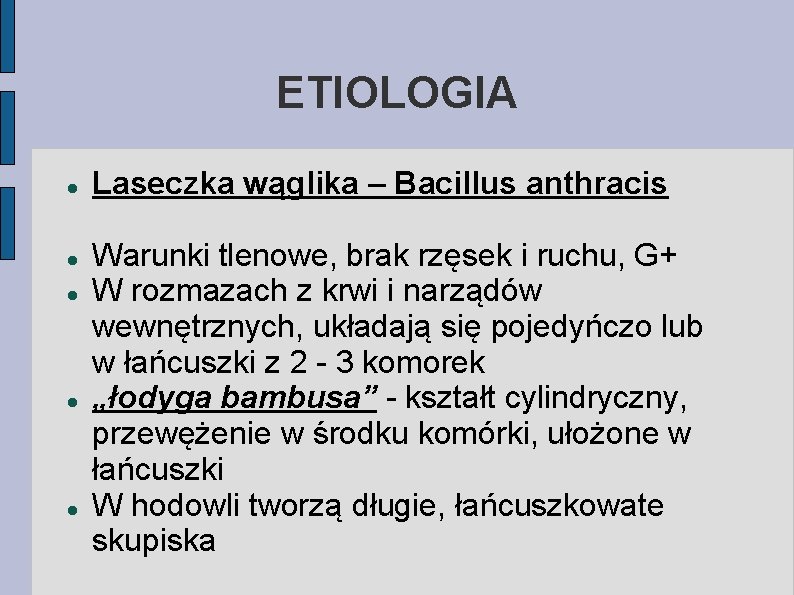 ETIOLOGIA Laseczka wąglika – Bacillus anthracis Warunki tlenowe, brak rzęsek i ruchu, G+ W