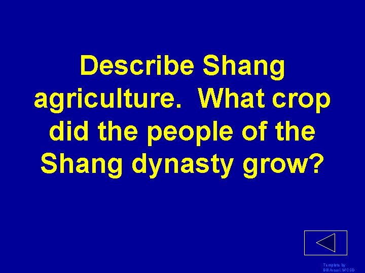 Describe Shang agriculture. What crop did the people of the Shang dynasty grow? Template