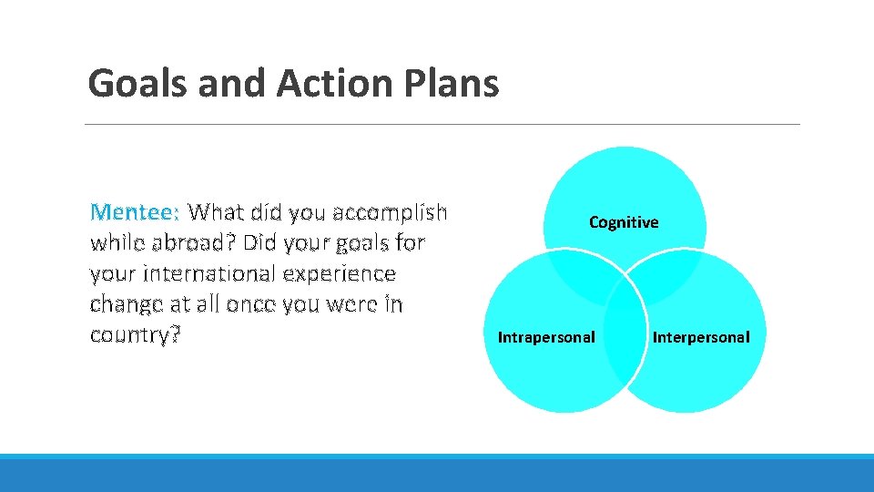 Goals and Action Plans Mentee: What did you accomplish while abroad? Did your goals