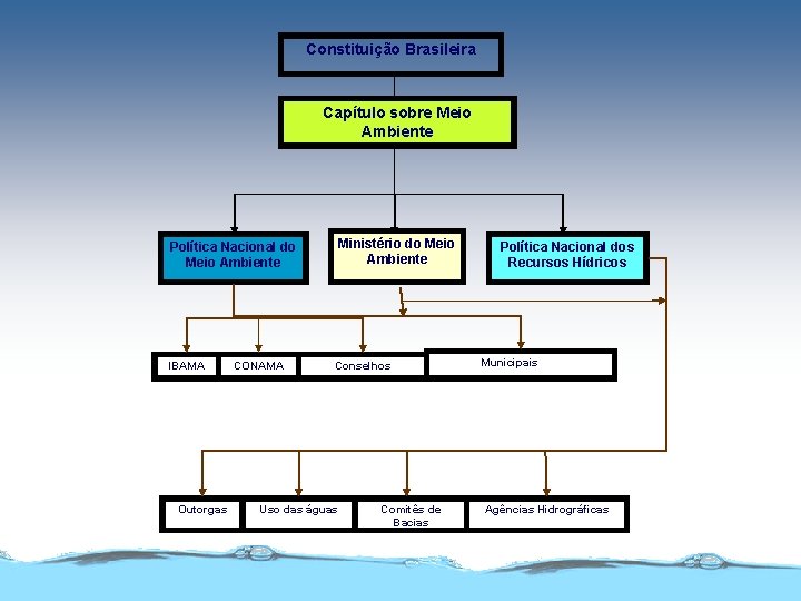 Constituição Brasileira Capítulo sobre Meio Ambiente Ministério do Meio Ambiente Política Nacional do Meio
