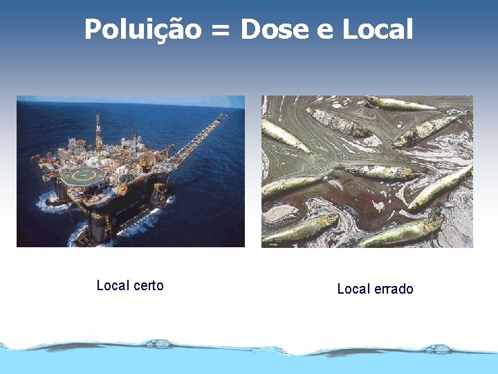 Poluição = Dose e Local certo Local errado 